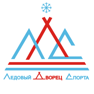 Муниципальное автономное учреждение дополнительного образования спортивная школа "Ледовый Дворец спорта"
